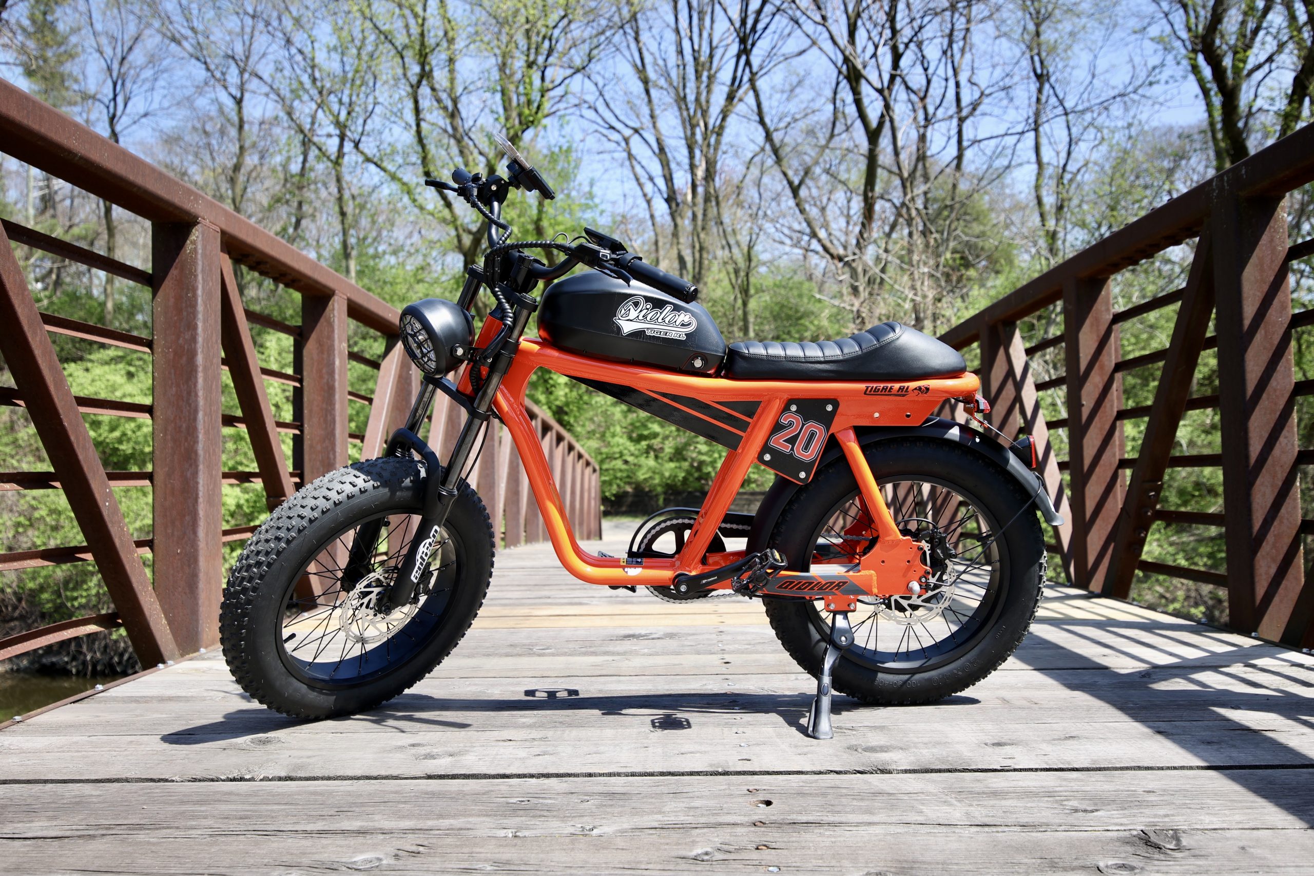 Picture of the Qiolor Tiger RL on a bridge